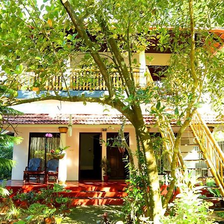 Marari John'S Beach Appartement Mararikulam Buitenkant foto