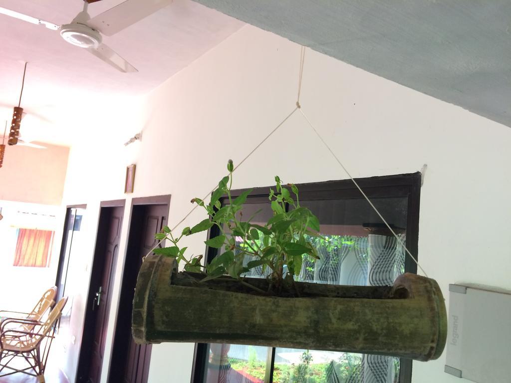 Marari John'S Beach Appartement Mararikulam Buitenkant foto